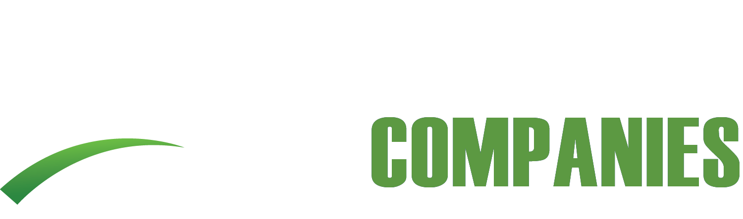 HDS Companies Contrast White